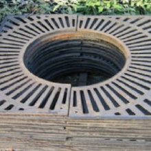 GHI BẢO VỆ GỐC CÂY